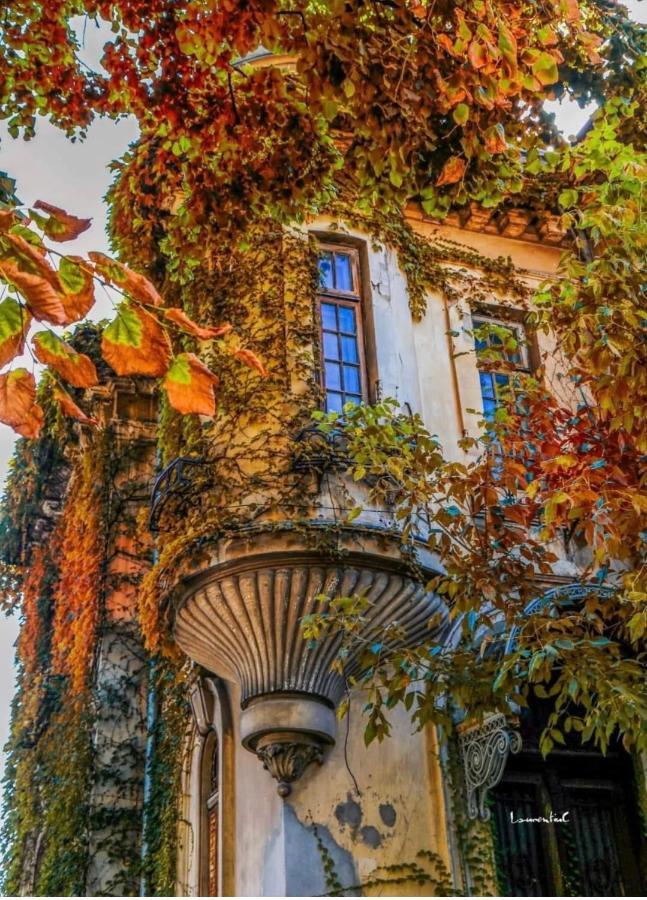 Charming Place Cotroceni Bucureşti Exterior foto